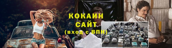 гидра Аркадак