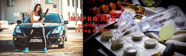 гидра Аркадак