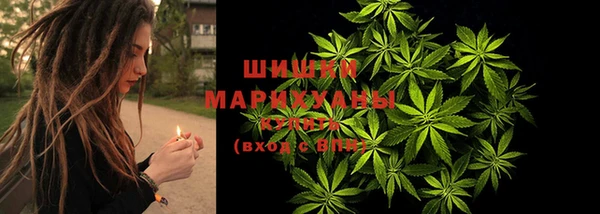 гидра Аркадак